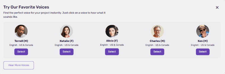 Select AI Voice Preferences